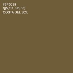 #6F5C39 - Costa Del Sol Color Image